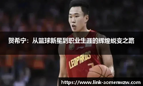 贺希宁：从篮球新星到职业生涯的辉煌蜕变之路